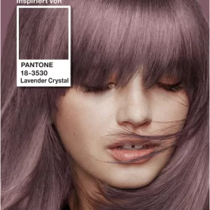 Classic Shop 23